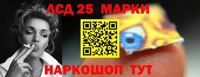 индика Нальчик