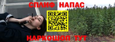 индика Нальчик