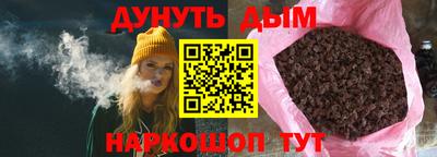 индика Нальчик