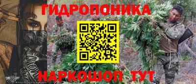 индика Нальчик