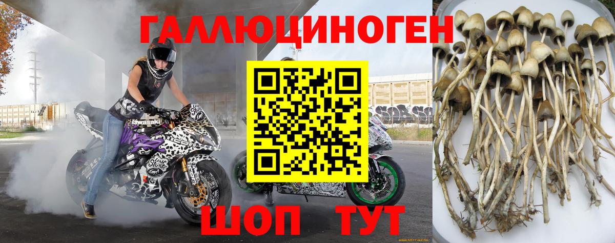 Псилоцибиновые грибы мухоморы Троицк