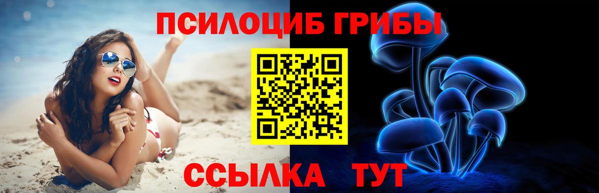 Троицк  Галлюциногенные грибы Magic Shrooms  продажа наркотиков  Вход с VPN 